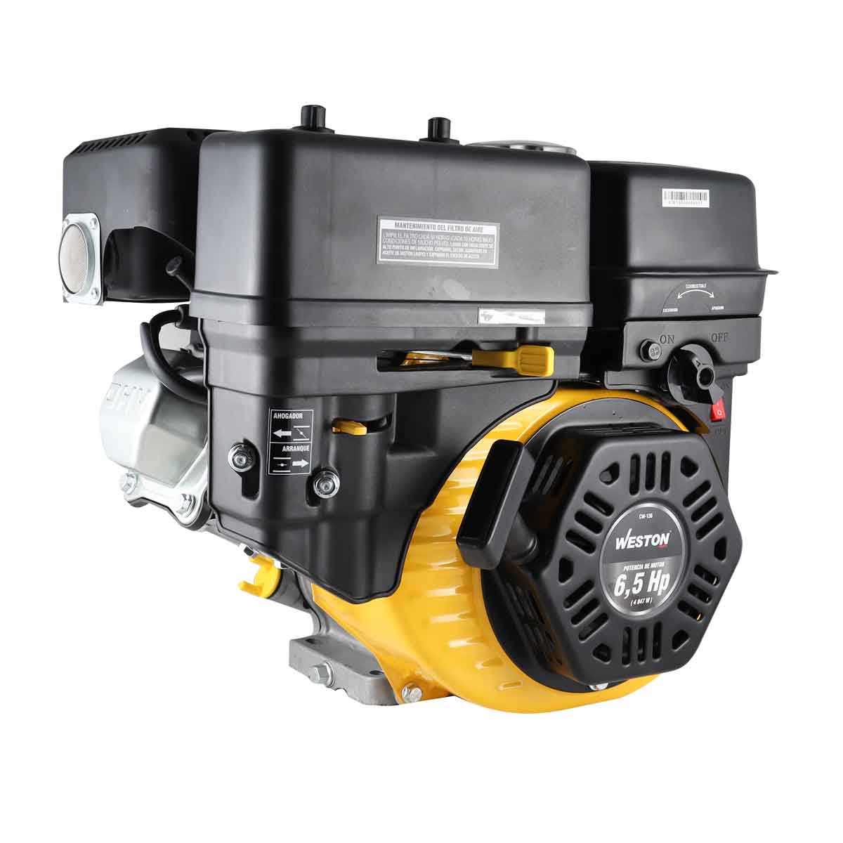 MOTOR P/HIDROLAVADORA 3000PSI CW-130