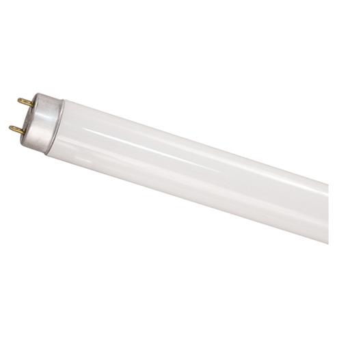 FLUORESCENTE TUBULAR FL 32W T8 5000K PLUSRITE CAJA C/25 PIEZAS